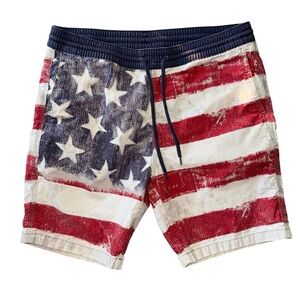 Mossimo Men’s American Flag Print Shorts